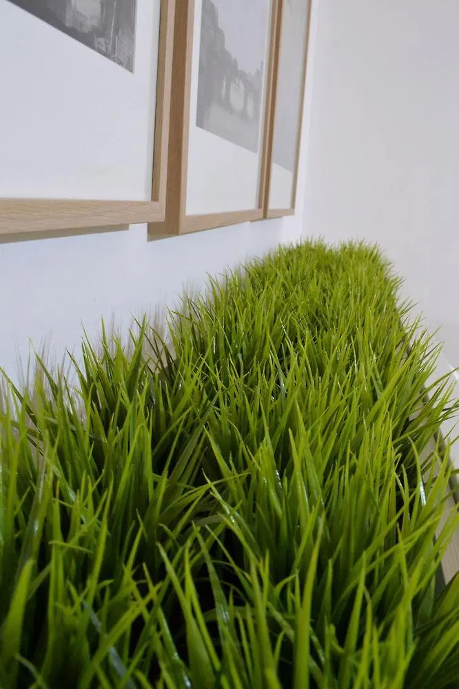 ** Guest house Green Domus Hotel Florence Italy